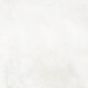 Γρανιτοπλακάκι Δαπέδου Πορσελανάτο 60,5x60,5cm R11 Blanco Mat Madox Io